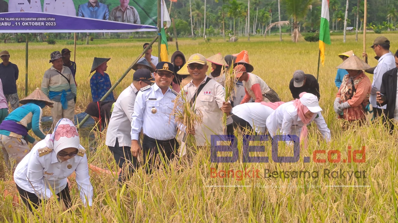 MT II Talang Ulu Panen Raya Jadikan Lebong Lumbung Padi BEO