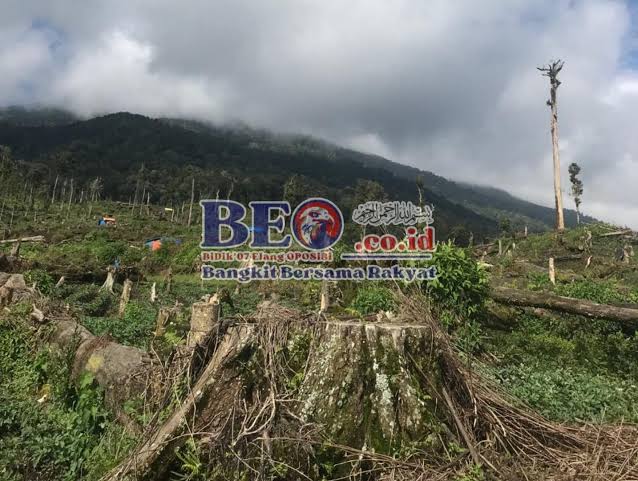 Masyarakat Dukung “Bupati Monadi” Selamatkan Kerinci 2