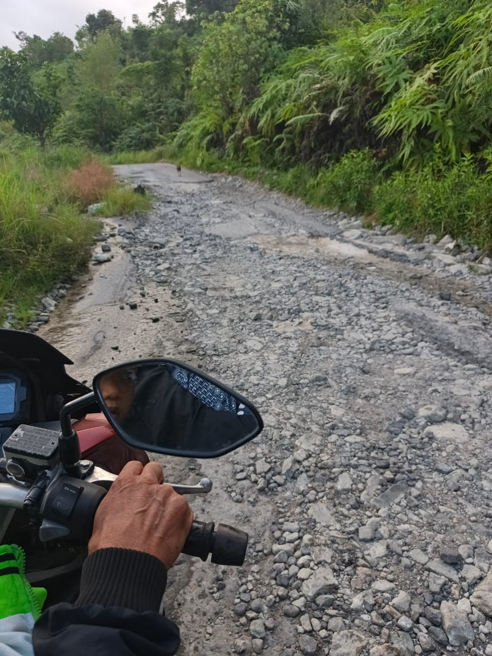 Warga Lebong "Gedor" Gubernur, Soal Titik Lokus Pembangunan Jalan Provinsi 8