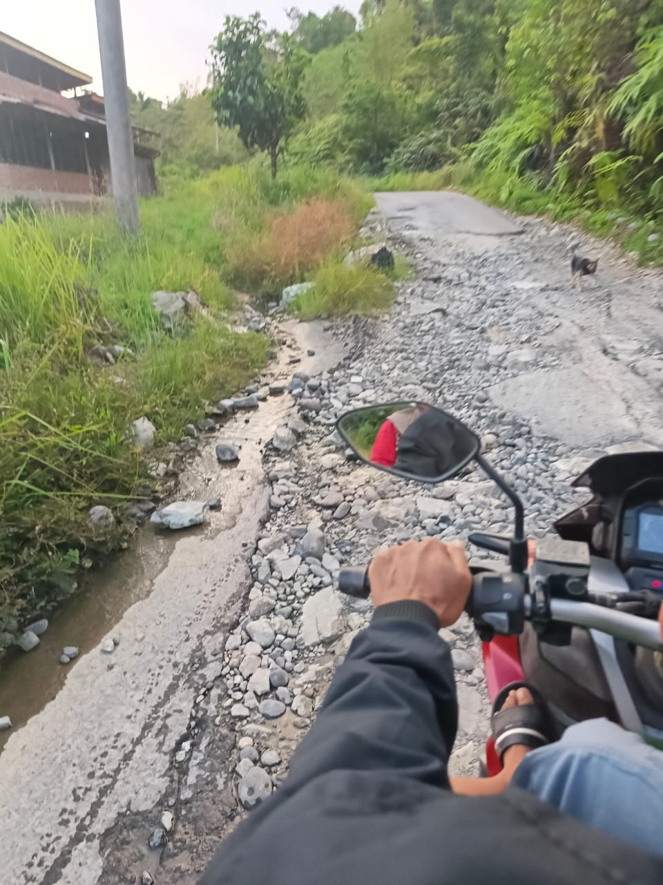 Warga Lebong "Gedor" Gubernur, Soal Titik Lokus Pembangunan Jalan Provinsi 9
