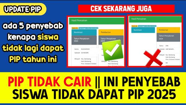 Kenapa PIP Tidak Cair Padahal Sudah Terdaftar Ini Penyebabnya