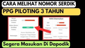 Cara Cek Tanggal Terbit Sertifikat PPG Terbaru dengan Mudah dan Akurat