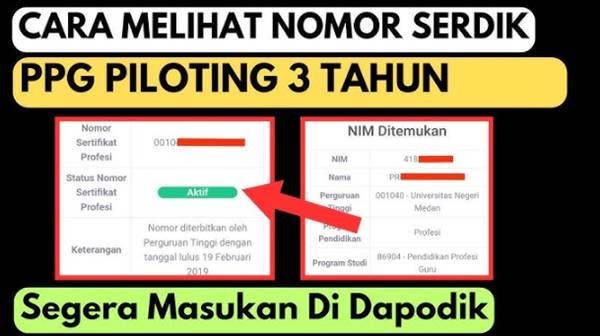 Cara Cek Tanggal Terbit Sertifikat PPG Terbaru dengan Mudah dan Akurat