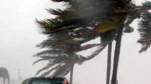 Kenapa Angin Kencang Terjadi Akhir-akhir Ini BMKG Ungkap Penyebabnya