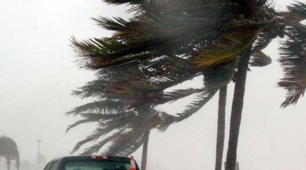 Kenapa Angin Kencang Terjadi Akhir-akhir Ini BMKG Ungkap Penyebabnya